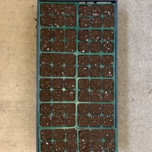 GROWERS FLAT – 72 CELL WITH SOIL @ LEAK PROOF TRAY