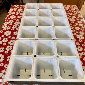 Growers pot – jumbo 6 pack with tray