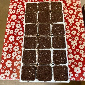 Growers pot – jumbo 6 pack with tray and soil