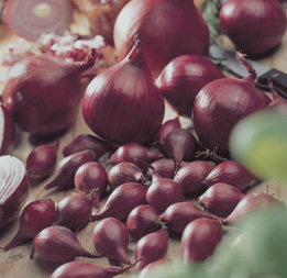 Onion Sets Red 80 per package
