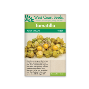 WEST COAST SEED TOMATILLO – Aunt Molly’s Ground Cherry