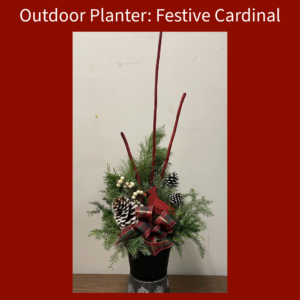 Outdoor Charity Planter: Festive Cardinal