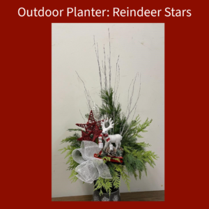 Outdoor Charity Planter: Reindeer Stars