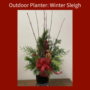 Outdoor Charity Planter: Winter Sleigh